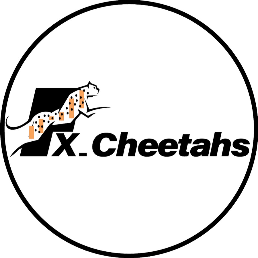 cheetah forex