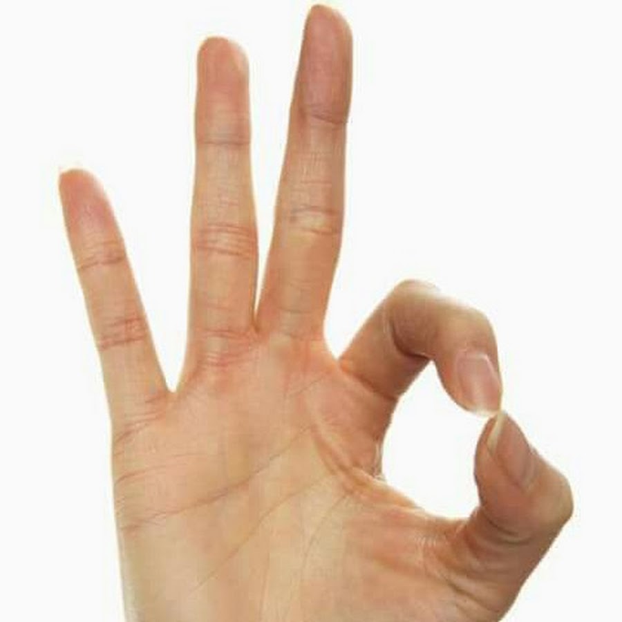 Пальцы на руках название. Что такое средняя рука. Четыре пальца. Что такое средняя рука. Что такое средняя рука.