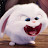 ssence E