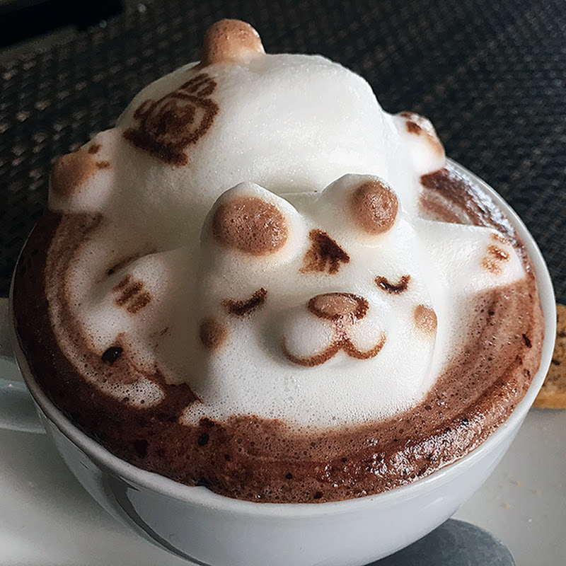 thucanduongpho - 網紅的藏寶箱 