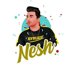 DJ NeSH net worth
