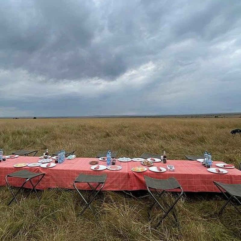 Amami Queen - 網紅的藏寶箱 