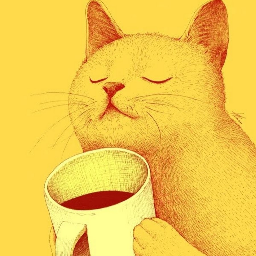 Коты в чашке арт обои