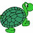 Awko Turtle