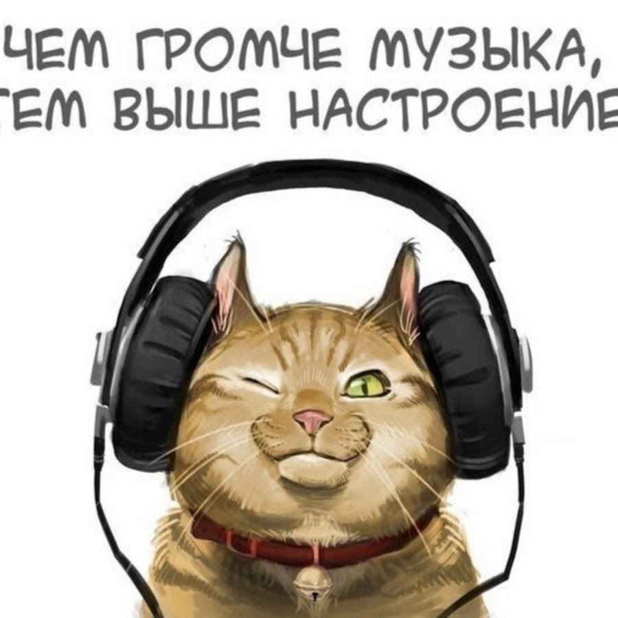 Начни день с музыки. Тони раут концерт спб. Музыка синего цвета. Музыкальные цвета. Музыка то нет.