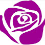 PurpleRoseTheatreCo - @PurpleRoseTheatreCo YouTube Profile Photo