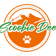 Thumbnail of related channel