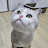 문경