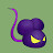 Purple Rat