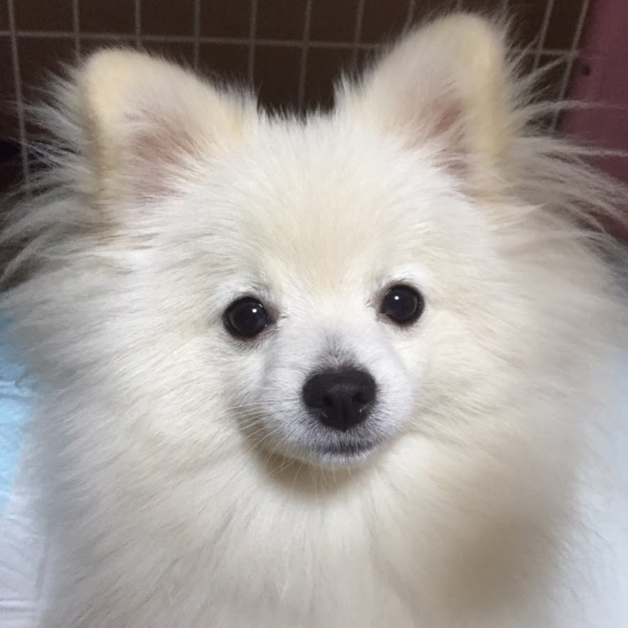 AKedOLTCHqFP9R9SdM7cifRAInXSO3NKx_4Z1pYLy3qc=s900ckc0x00ffffffnorj