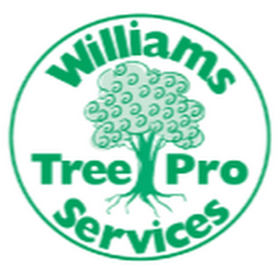 Will tree. Фестиваль дерева. Product/service Tree кондитерской. Tree service scams.