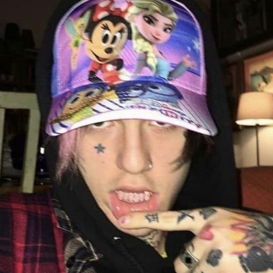 Коты воители картинки львиносвет