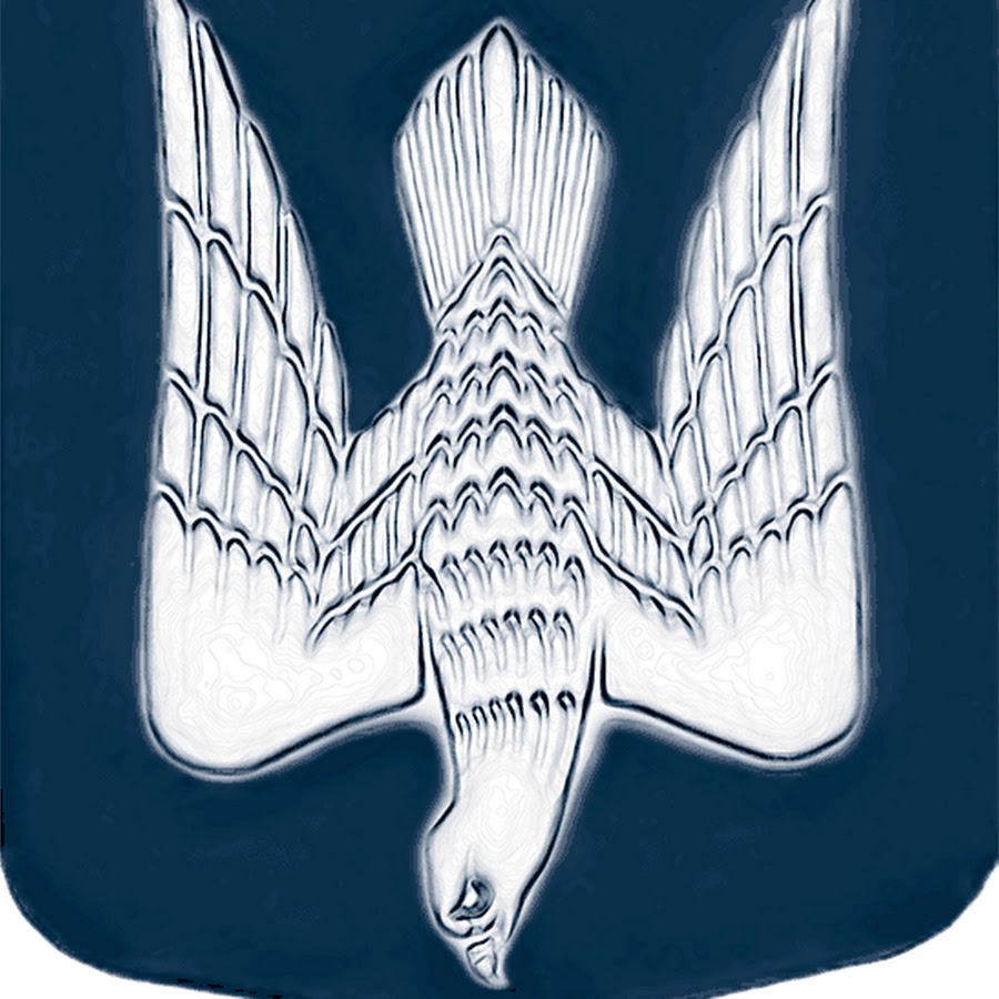 Герб старой ладоги. Пикирующий Сокол Рюрика. Пикирующий Сокол символ Рюрика. Пикирующий Сокол герб Рюриковичей. Пикирующий Сокол Рарог символ