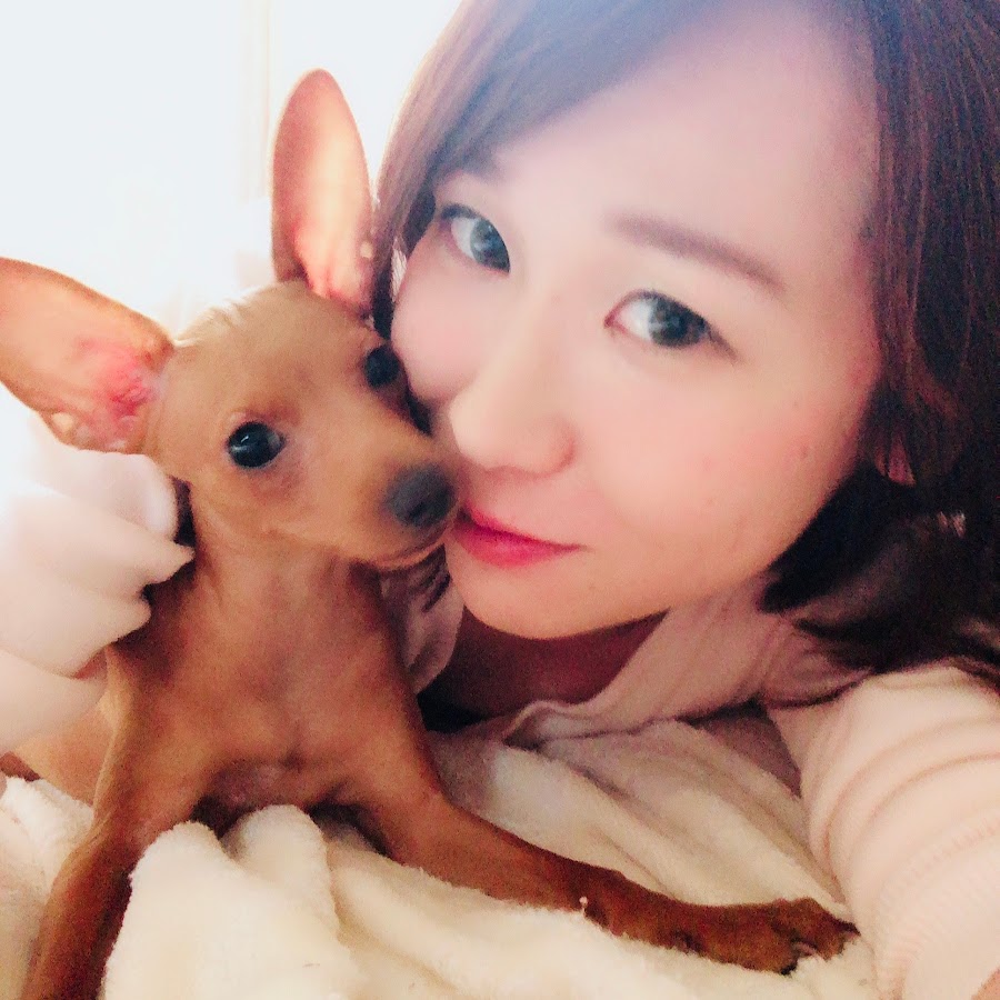 ミニピンアイビー 犬のしつけ 面白動画 Minipin Iby Youtube