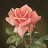 오스카_Oscar
