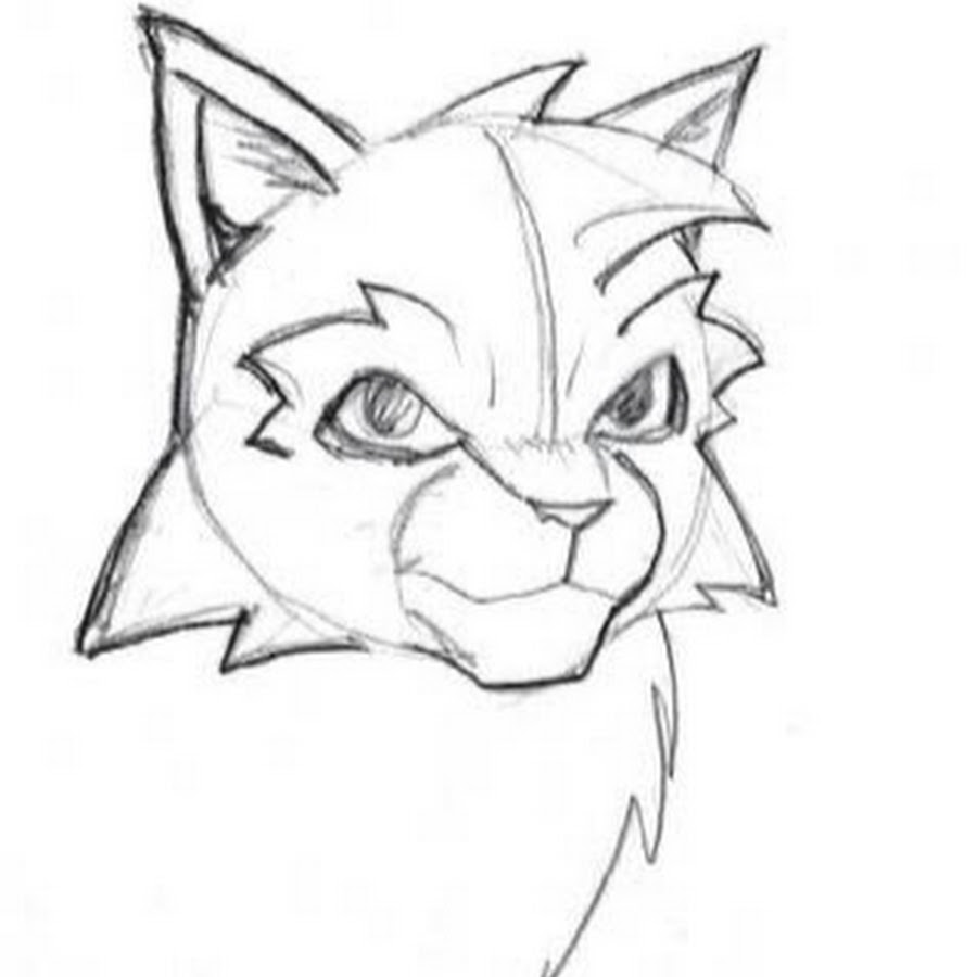 Как поэтапно нарисовать котов воителей поэтапно