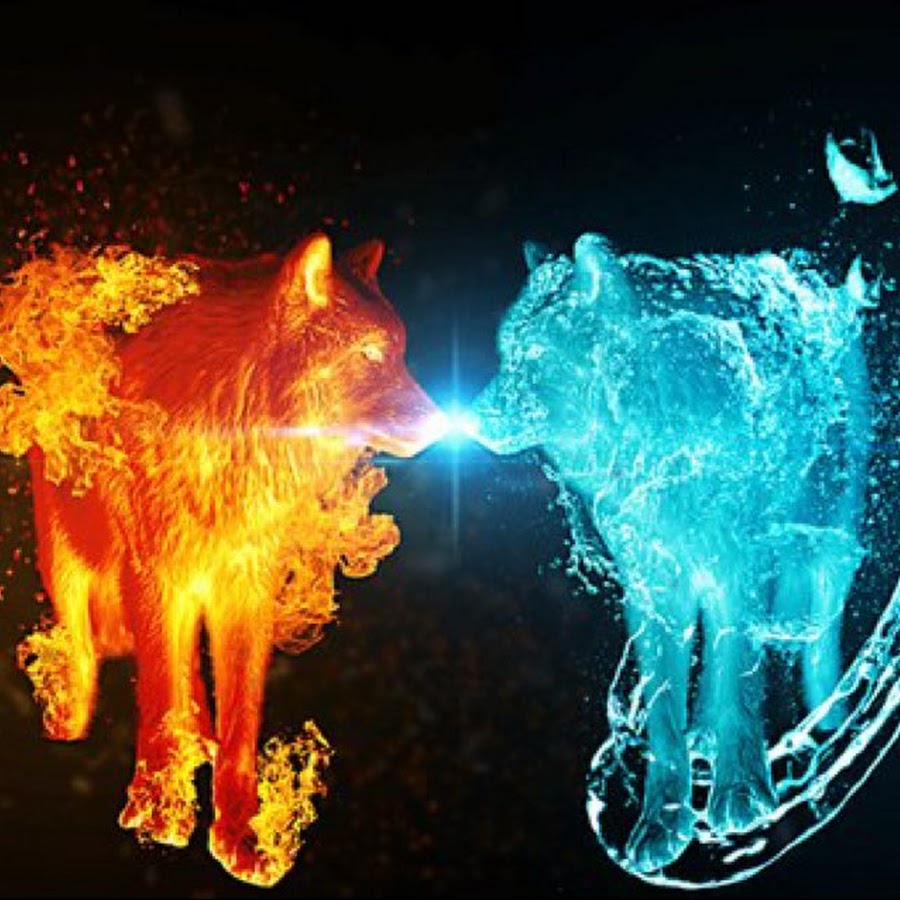 Конь с огненной гривой. Волк в огне. Огненная собака. Огненная собака. Животные стихий.