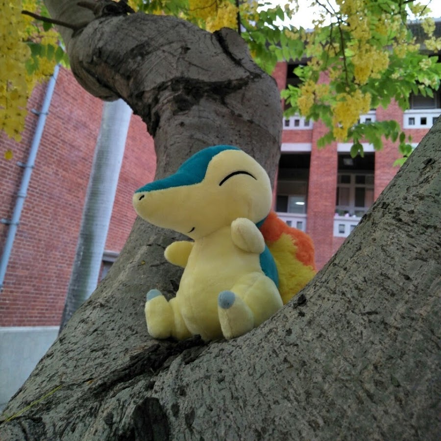 冬眠魚 Wintersleepyu Youtube