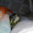 Turtle린이랙