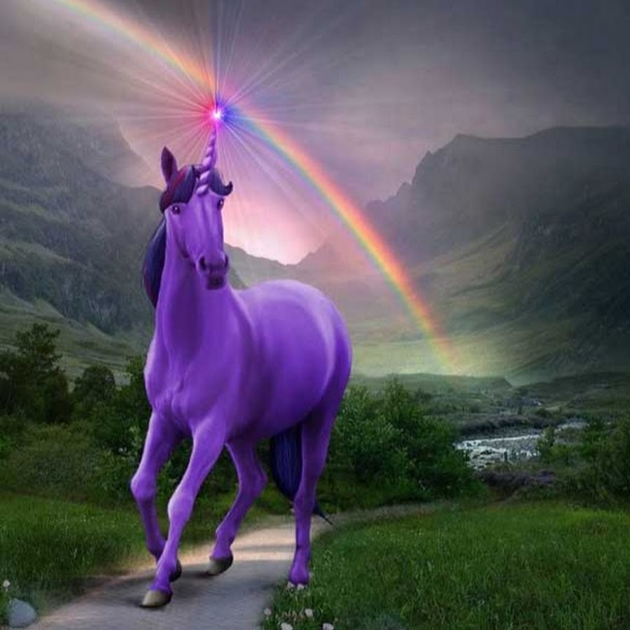 Посмотрим единорог. Фиолетовая лошадь. Единорог. Радужная лошадь. Фиолетовый Единорог.