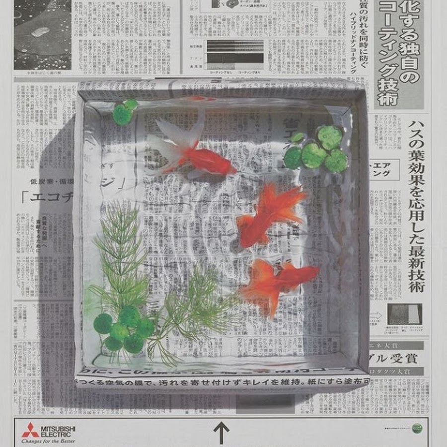 妖艶金魚 Youtube
