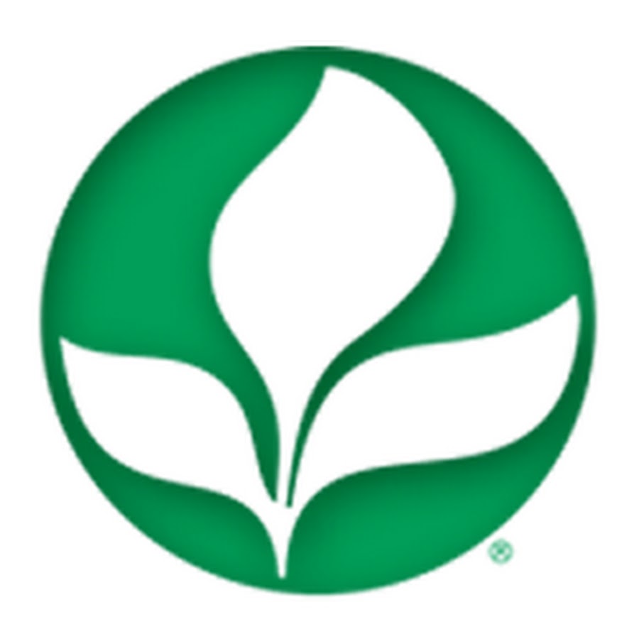 AKedOLTEcighl8YHe6Ppy6pIL7TiTeYfF9Rnq6hVMMFv=s900ckc0x00ffffffnorj