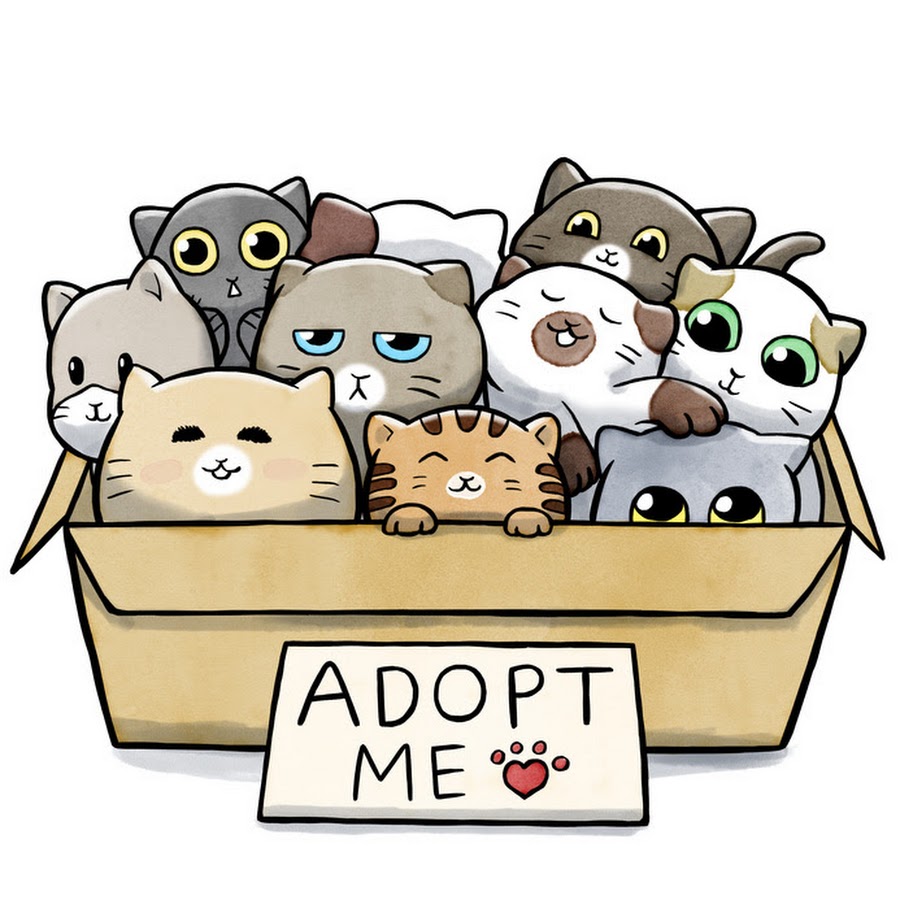 Box Cat adopt me