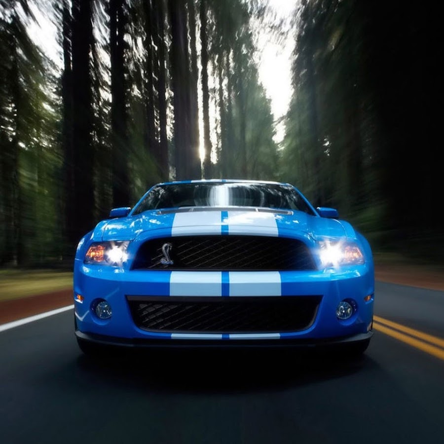 Ford Shelby gt