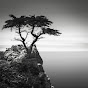 The Monterey Bay Poetry Consortium YouTube Profile Photo