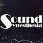 SoundSynesthesia - @SoundSynesthesia YouTube Profile Photo