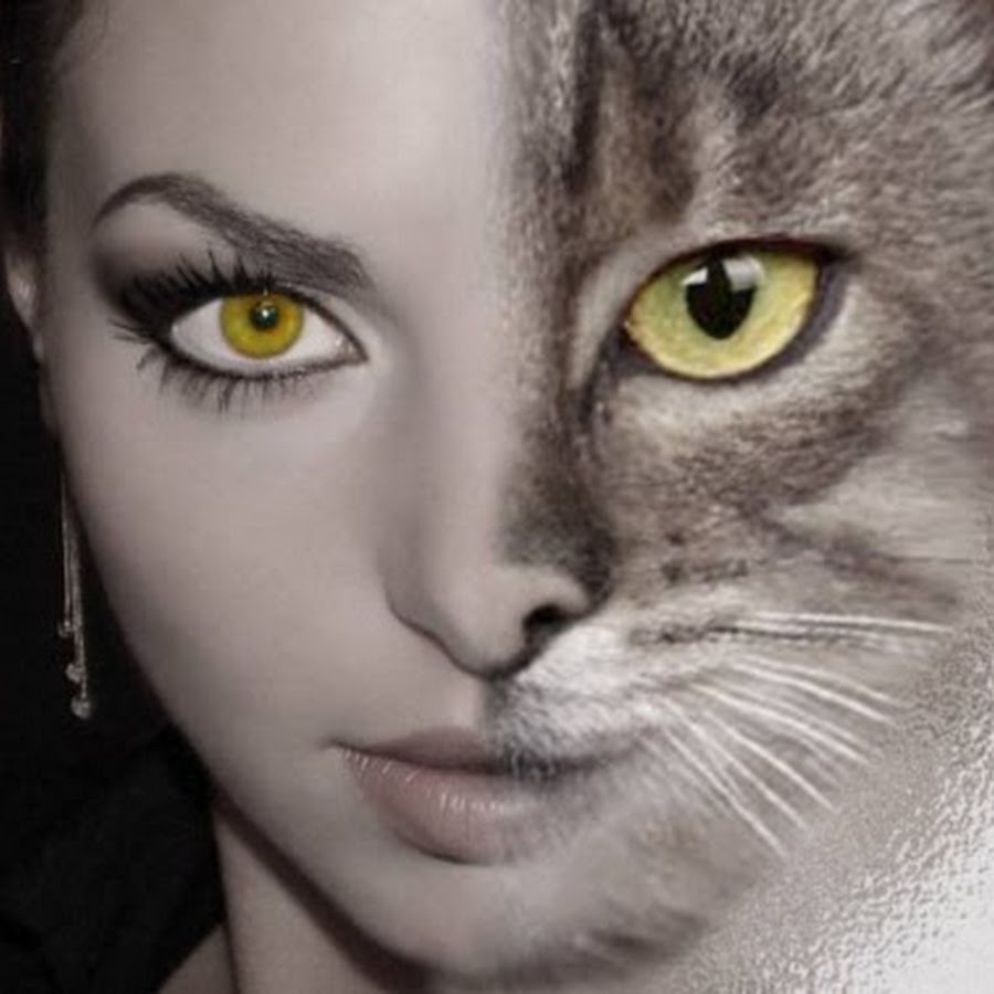Кошачий взгляд у девушки