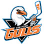 San Diego Gulls YouTube Profile Photo