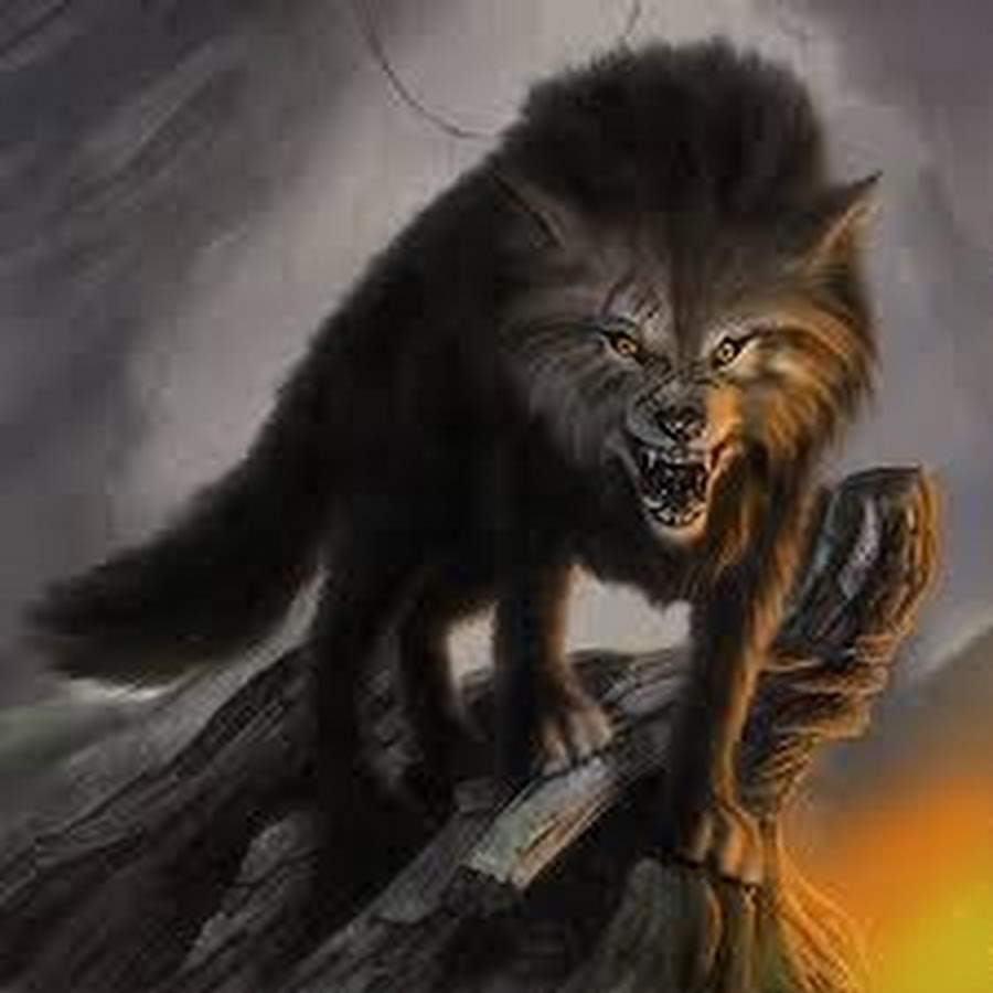 Волки оборотни фэнтези. Волк арт ДНД. Волк DND. Вервольф волк оборотень. Волк оборотень Werewolf.