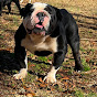 Red Clay Olde Bulldogges - @mrstevejacobs YouTube Profile Photo