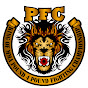 PFC channel