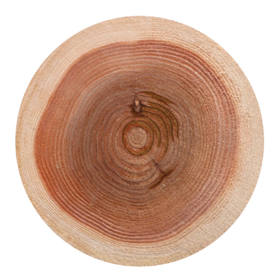 丸太は持ったな Youtube