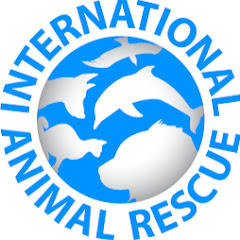 International Animal Rescue IAR thumbnail