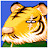 Tiger Kang