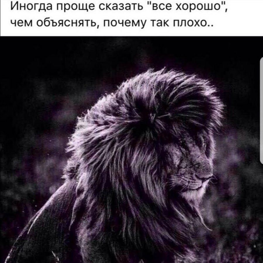 Одиночество удел сильных