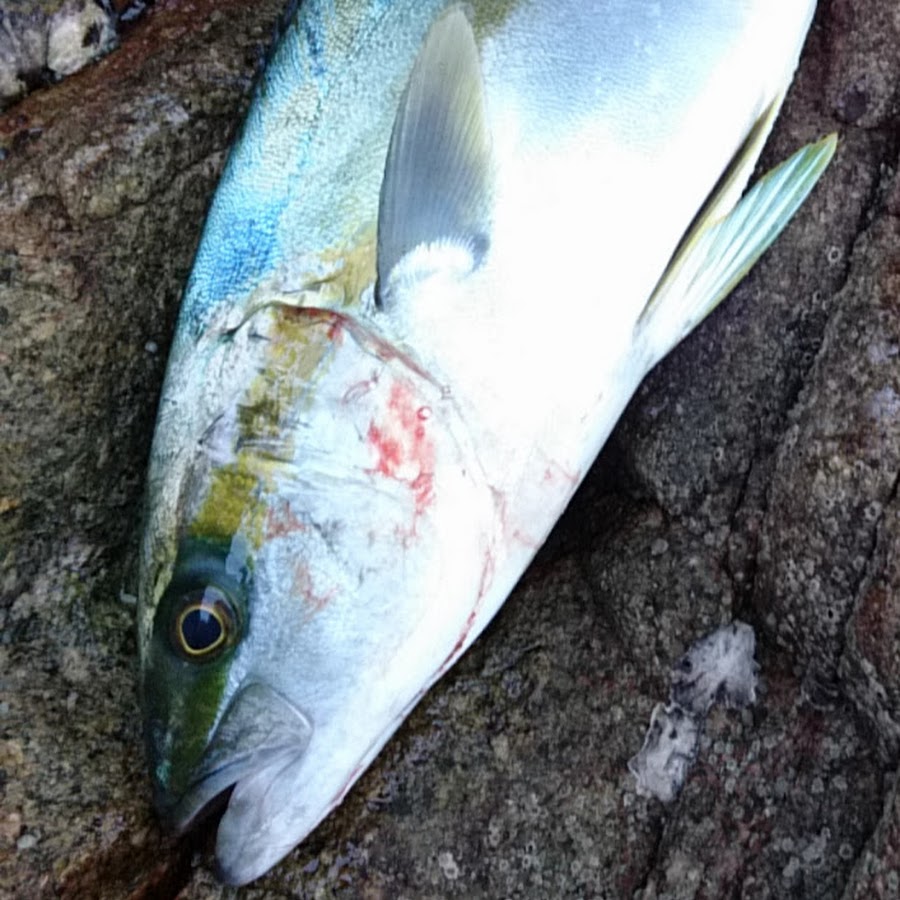 川魚漁師ときどき海 Youtube