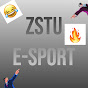 e-sport ZSTU w Trzebini