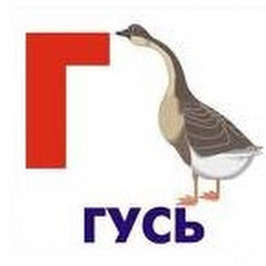 Предметы на звук г. Буква г гусь. Это начинается на букву г. Слова на букву г для детей в картинках. Слова на букву г.