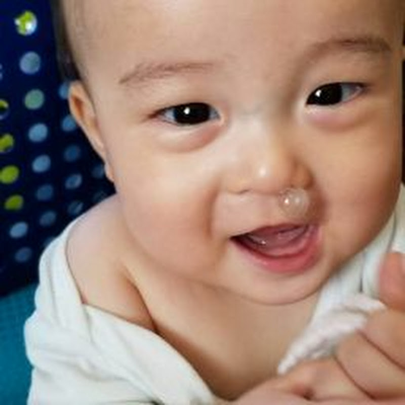 パニパニちゃんねるの30日間推移 Youtubeランキング