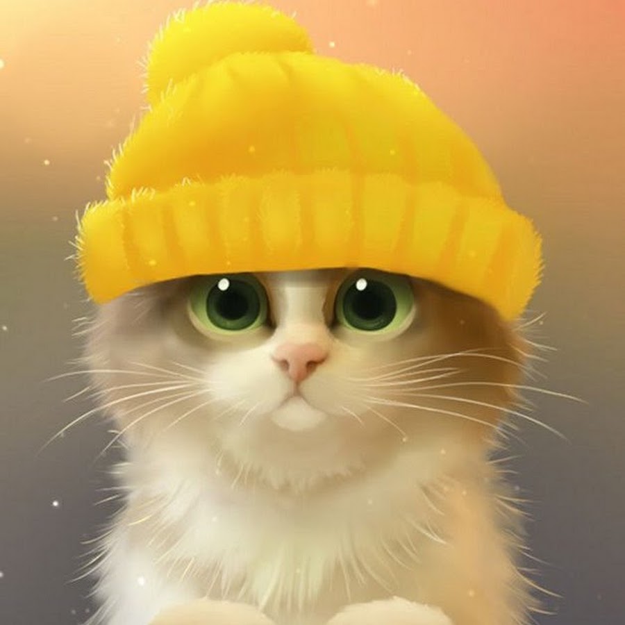 Шапочка котика