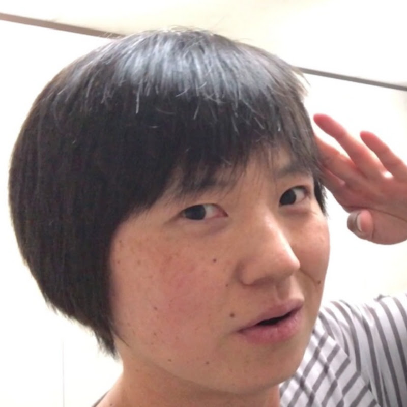 どこにでも行くドスコイ - 網紅的藏寶箱 