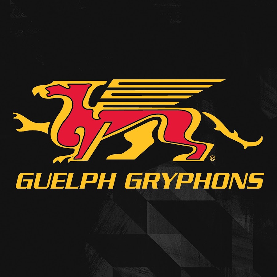 Gryphzone Youtube
