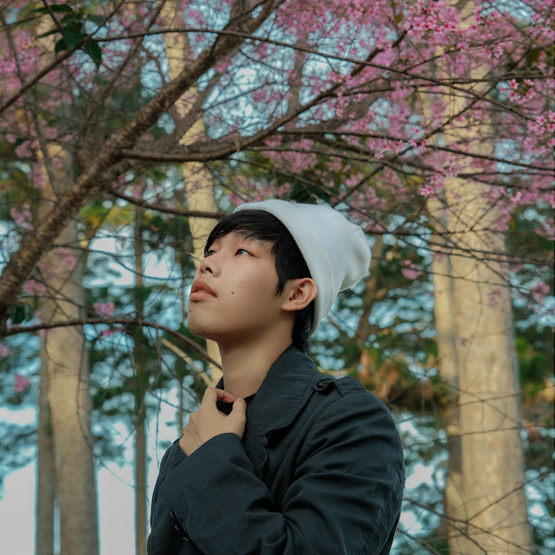 Trường Nguyễn - 網紅的藏寶箱 