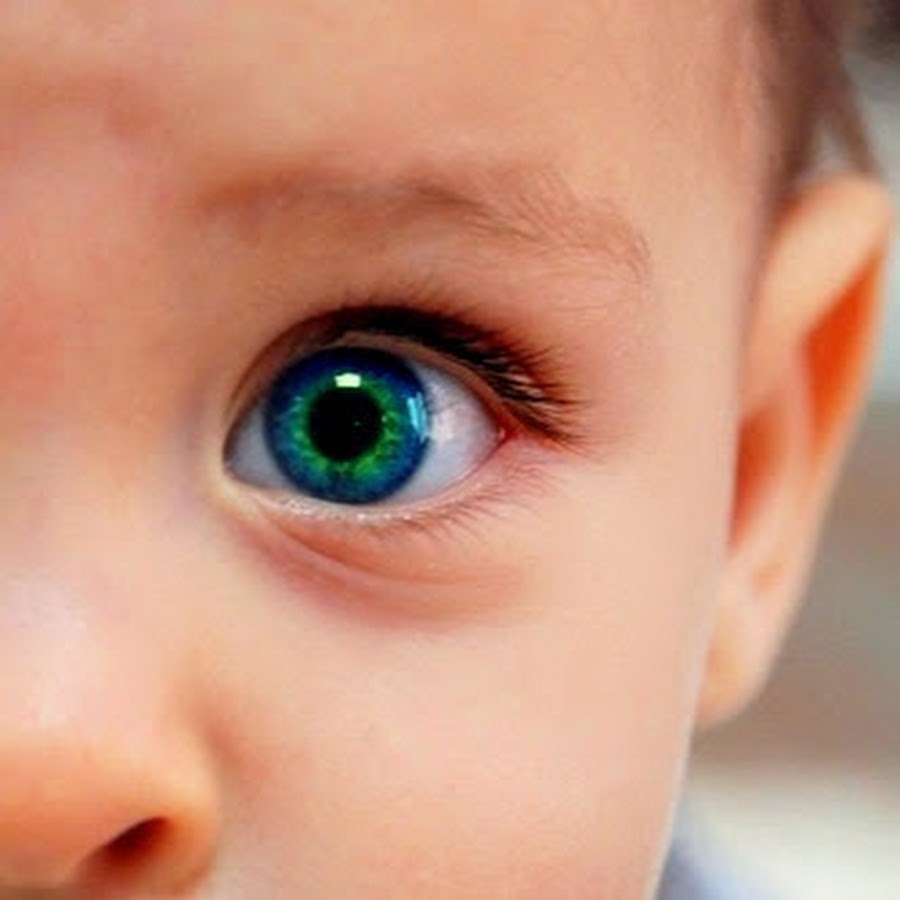 детские глаза 6. чистые глаза ребенка. детские глаза. детские глаза 6. детские глаза 6.