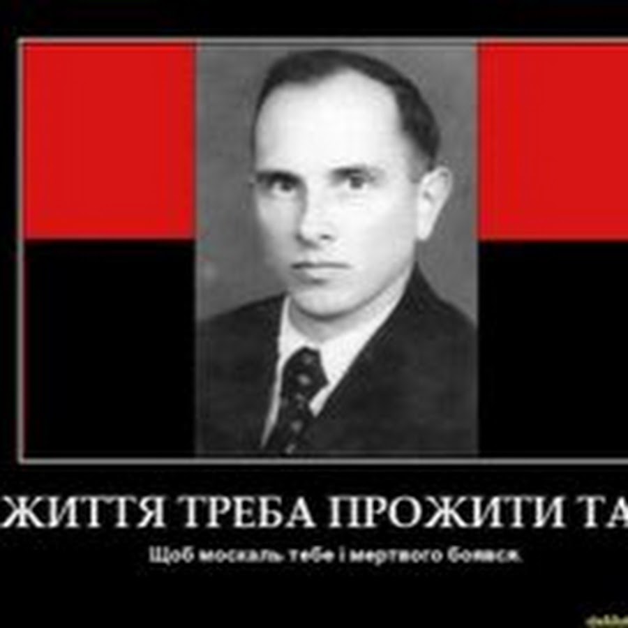 Степан богдан мем