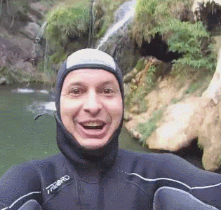 [最も共有された！ √] bébé corneille noire 261168